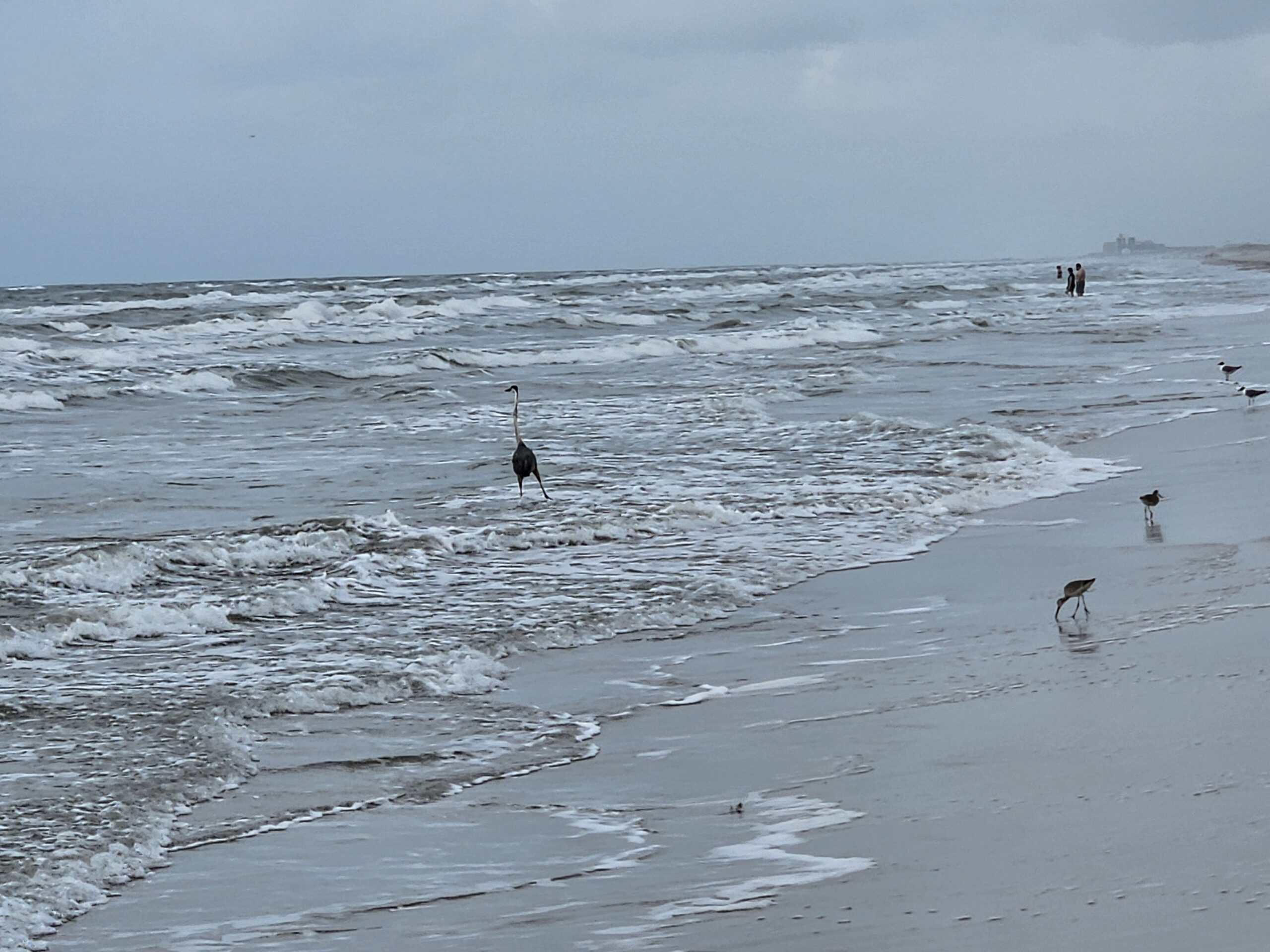 Mustang Island & Padre Island: The Best Laid-Back Texas Beaches